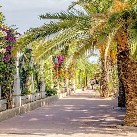 Espanatour San Julian 41 또레비에하